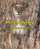 African Odyssey
