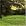 Essence of Green: A Tribute to Kind of Blue