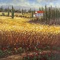 Hulsey Tuscan Wheat Canvas Giclee(16 x 16")