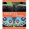 Zoology for Kids Insects