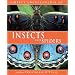 Zoology for Kids Insects