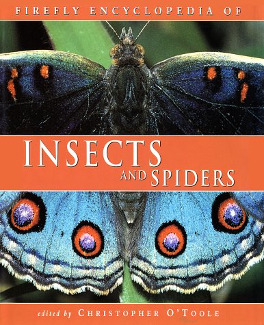 Insects