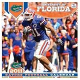 Florida 2011 Wall Calendar