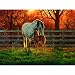Quiet Time 1000pc Jigsaw Puzzle by Chris Cummings