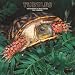 Turtles 2007 Wall Calendar