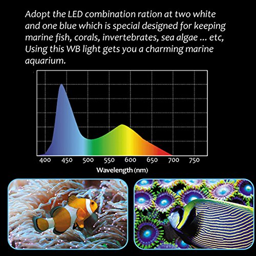 aquarium light price