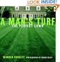 A Man's Turf: The Perfect Lawn