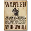 Nostalgic Humor Tin Sign : Black Lab Wanted Poster