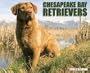 Chesapeake Bay Retrievers Calendar