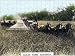 Photo Jigsaw 16x12 (40x30cm) Grenfell wheat farm, Australia, c1920s. by Heritage-Images