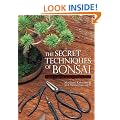 The Secret Techniques of Bonsai