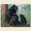 Large Cutting Board ~ Black Bear family ~ made of tempered glass ~ code 259