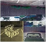 picture of The Suburbs