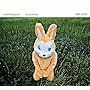 In a Coma (Deluxe Edition) ~ Matthew Good