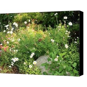 Lake Tahoe Flower Garden Canvas Print - Canvas Art