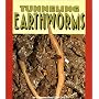 Tunneling Earthworms (Pull Ahead Books)