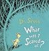 What Was I Scared of? (Little Dipper Books)