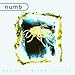 Numb, Desire/Blind Remixes, 発売中