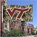 Virginia Tech Hokies 3x5 Real Tree Camo Flag