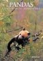 Pandas: A Portrait of the Animal World