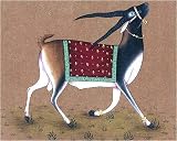Fine Art Miniatures India Paintings Drawings with Water Color on Paper 7.25 x 4.25 inches (minianimal011)