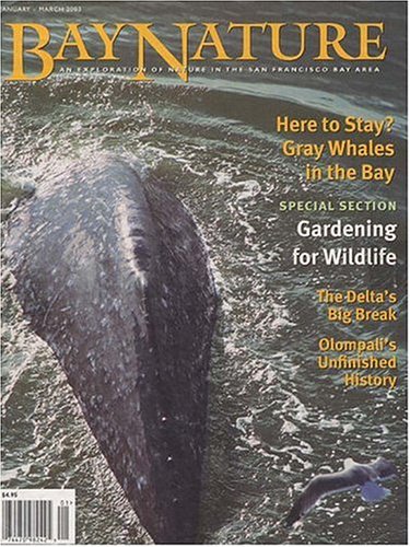 Childrens Toyshop  Magazines : Bay Nature