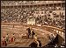 A bull fight, Barcelona, Spain wall sized print (photochrom) photochrome , 14x18