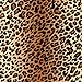 TidyTop Stylish Clothing Protector, LEOPARD, Adult Bib, 18