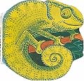 Pocket Chameleon (Pocket Pals Board Books) (Pocket Pals Board Books)