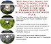Book The Special Make An Extra Income, Inner Game and Accounting & Finance for LED Flashlights Web Businesses 3 CD Power Pack
