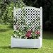 Kunstoff-und Holzverarbeitungswerk GmbH 37001 Spalier 100 x 43 x 140 cm, mit Pflanzkasten, wei�