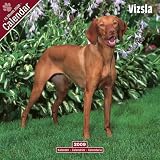 2009 Vizsla Wall Calendar