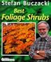 Best Foliage Shrubs (Amateur Gardening Guide)