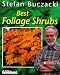 Book Best Foliage Shrubs (