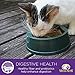 Wellness Healthy Indulgence Natural Grain Free Wet Cat Food, Turkey & Chicken, 3-Ounce Pouch (Pack Of 24)