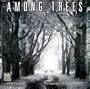 Among Trees 2010 Wall Calendar (Calendar)