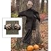 Peeping Tree Hugger Pkg/1