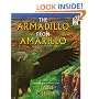 The Armadillo from Amarillo