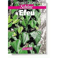 Sch�ne Efeus