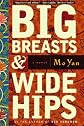 Big Breasts and Wide Hips: A Novel (Arcade Classics) [Paperback]