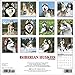 Siberian Huskies - 2016 Calendar 12 x 12in