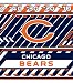 Turner NFL Chicago Bears Stretch Book Covers (8190170)
