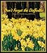 Don't Forget the Daffodils