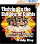 Thriving in the Shadow of Giants: How to Find Success as an Independent Retailer