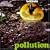 Pollution