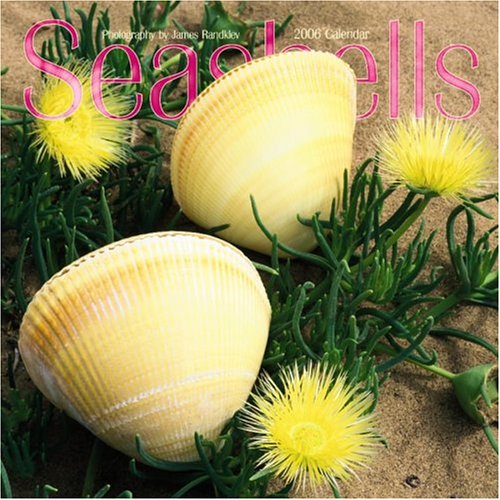 Seashells 2006 Calendar