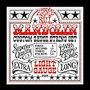 Ernie Ball Mandolin Light Stainless Steel Loop End Set, .009 - .034