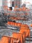 Christo and Jeanne-Claude: The Gates: Central Park, New York City, 1979-2005 (Basic Art)