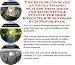 Search : The Rich Man's Make An Extra Income, Success Principles and Accounting & Finance for Shoe Boxes Web Businesses 3 CD Power Pack