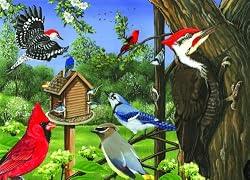 Around the Birdfeeder (35 Piece Tray Puzzle)
